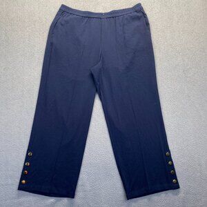 Linea by Louis Dell'Olio Pull-On Dress Pants Size XL Blue,Pockets,Rayon,Wide Leg